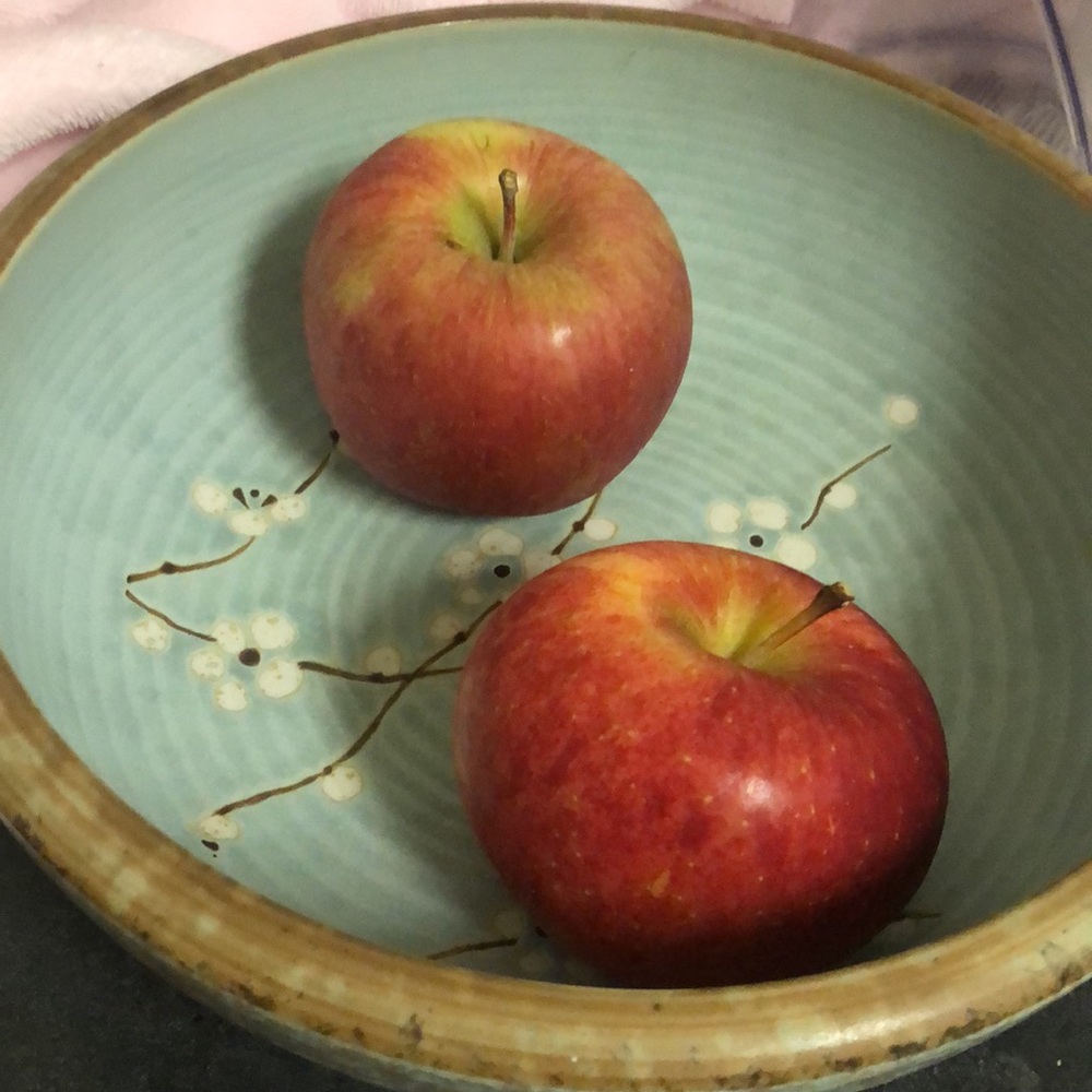 Japanese ceramic handmade fruit bowl